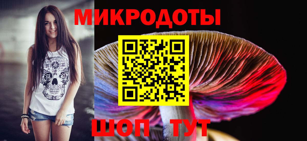 Галлюциногенные грибы Cubensis Кашира